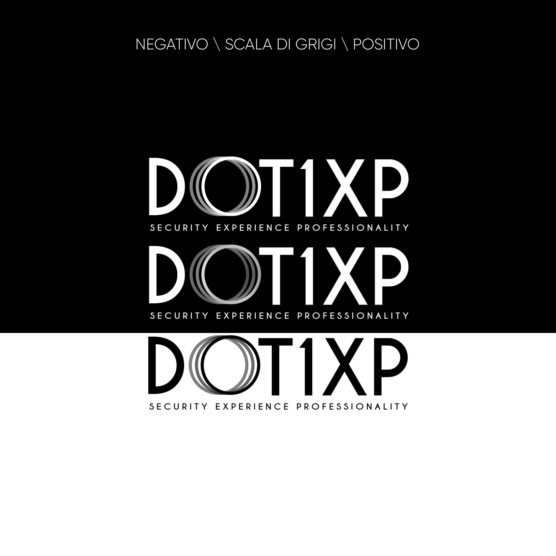 DOT1XP — tavola 02
